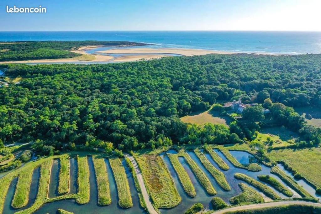 Au Coeur Du Golf De Port Bourgenay, Proche Des Sables D'olonne Apartment Talmont-Saint-Hilaire
