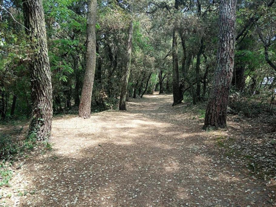 Au Coeur Du Golf De Port Bourgenay, Proche Des Sables D'olonne Appartamento
